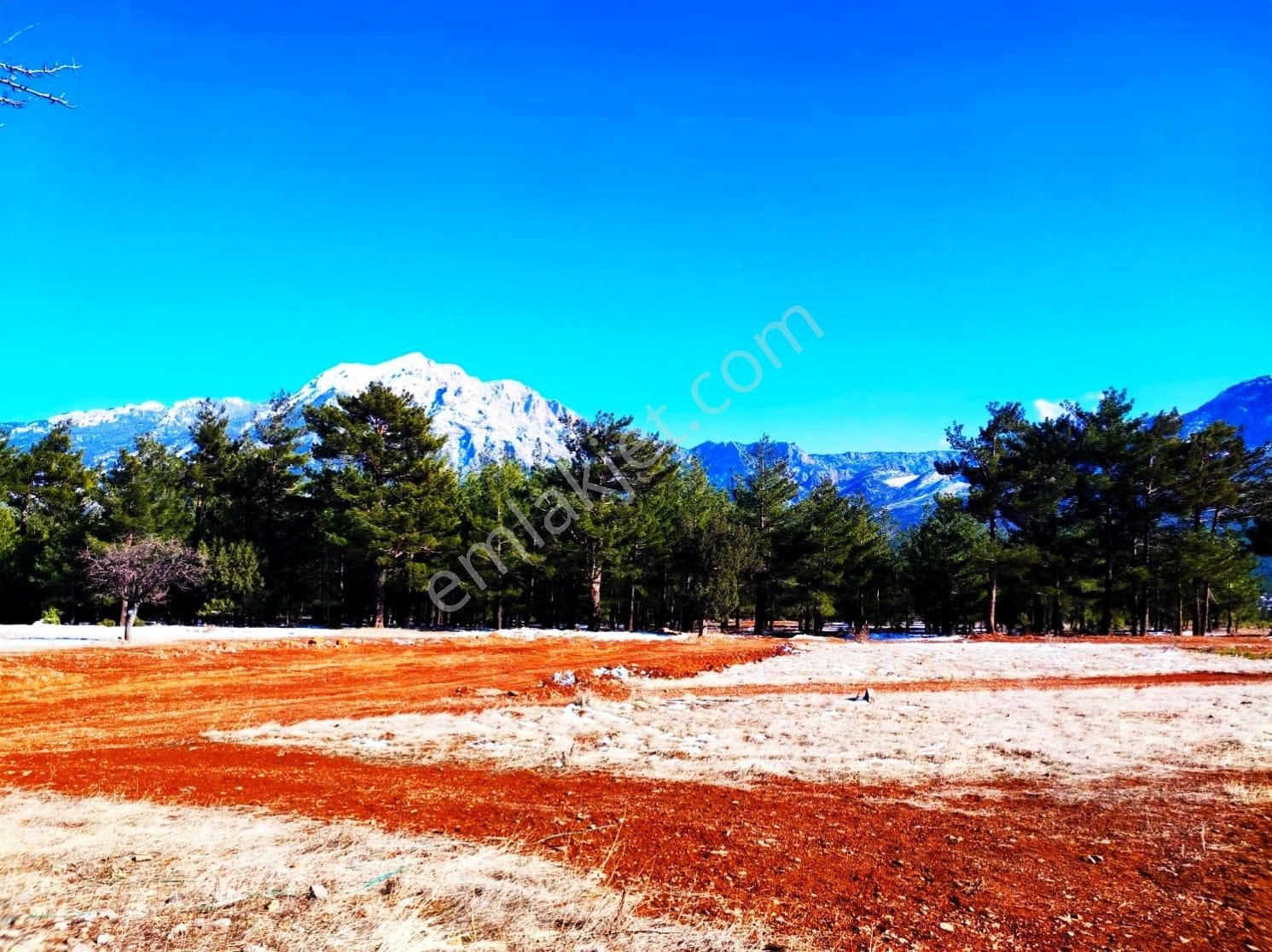 Kar Emlaktan Yenikonacık Efes Sitesi Altında 320 M2 Satılık Arsa - Görsel 21