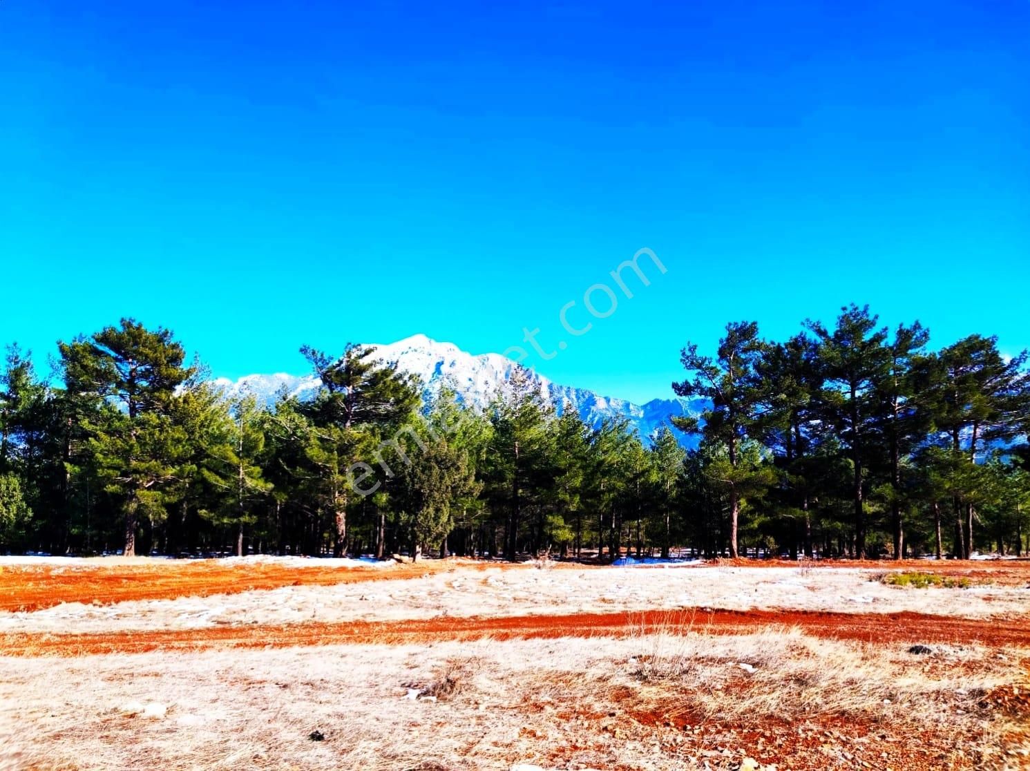 Kar Emlaktan Yenikonacık Efes Sitesi Altında 320 M2 Satılık Arsa - Görsel 4