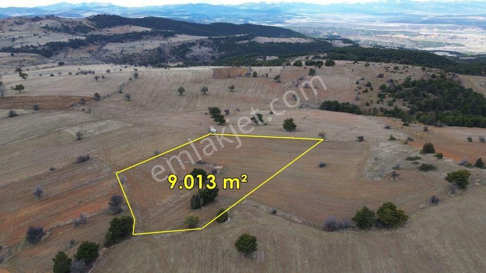 Ilgın Yukarıçiğil De 9.013 M2 Müstakil Tapulu Tarla - Görsel 2