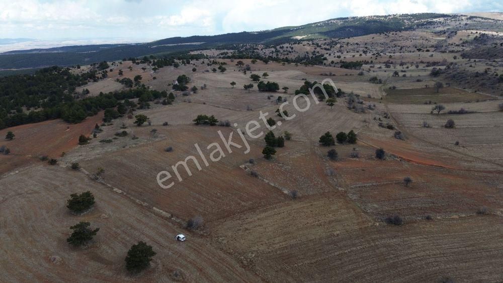 Ilgın Yukarıçiğil De 9.013 M2 Müstakil Tapulu Tarla - Görsel 3