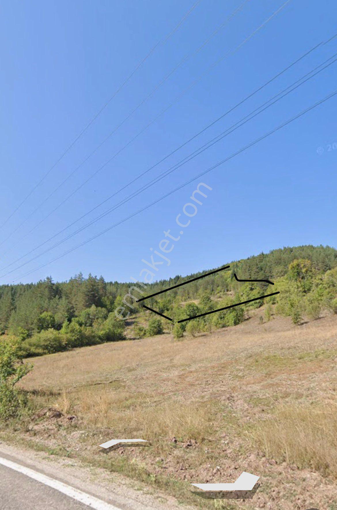 Sahibinden Satılık 7365 M2 Tek Tapu - Görsel 2