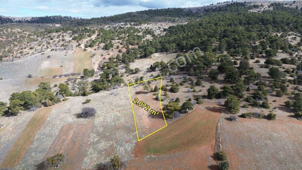 2.072 M² / Konya / Ilgın / Belekler / Tarla - Görsel 2