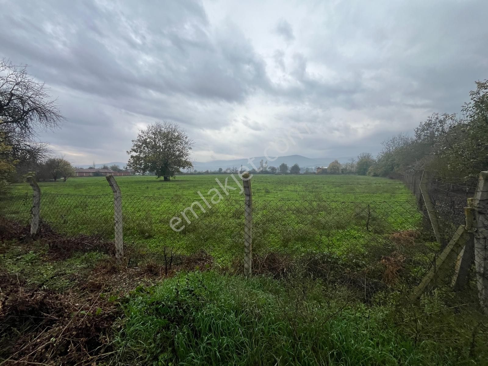 Karaorman Mahallesi Satılık 1887 M² Müstakil Tapu İmarlı Arsa - Görsel 3