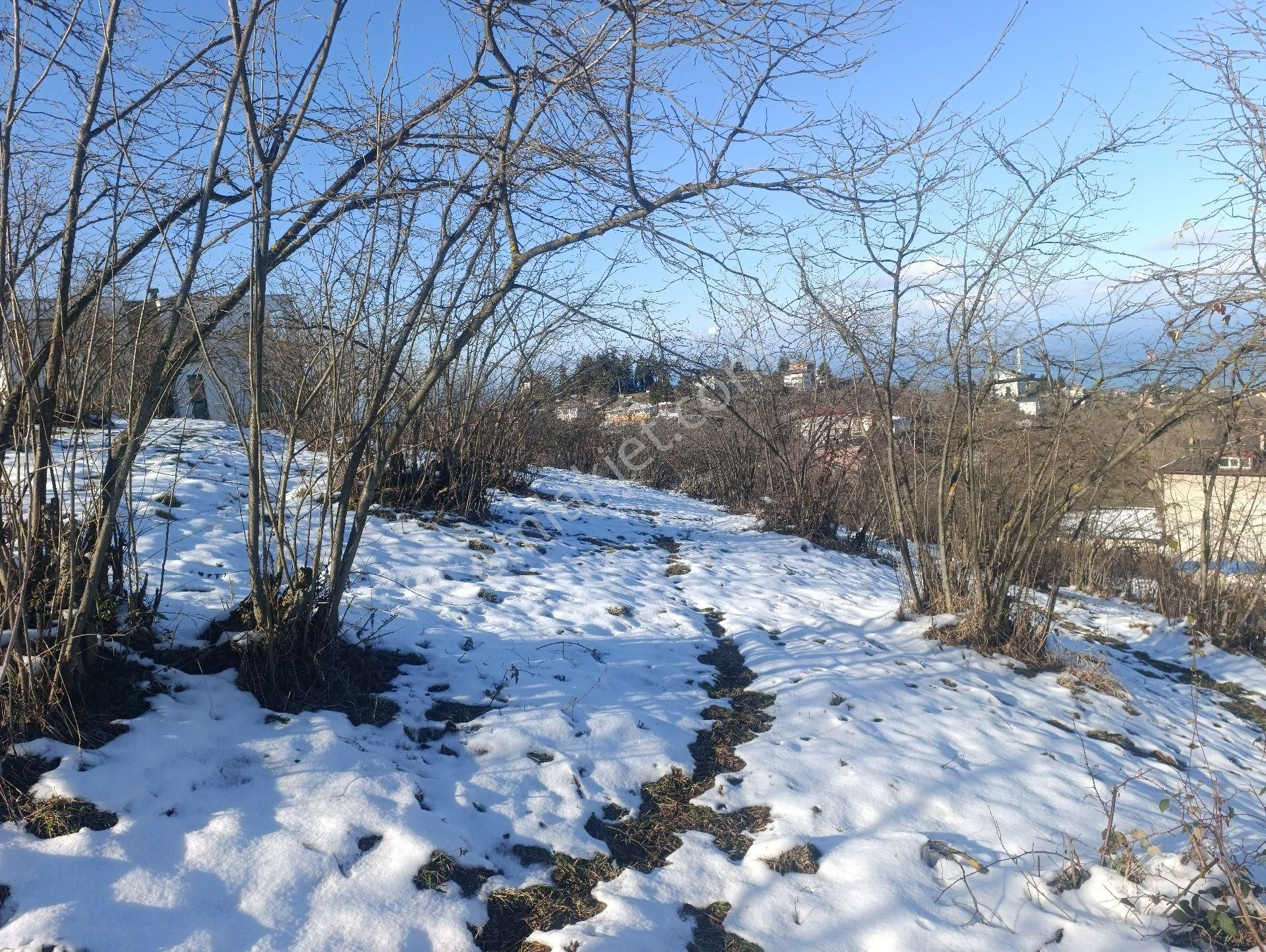 Ortahisar Çilekli Mahallesinde 3.200 M² Deniz Manzaralı Arazi - Görsel 7