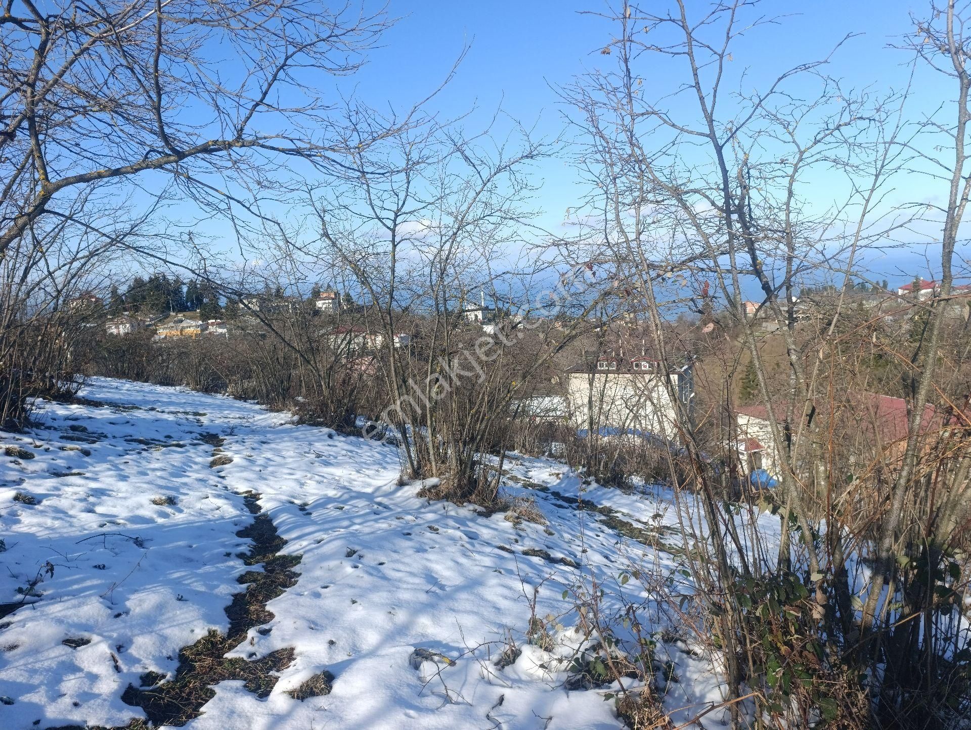 Ortahisar Çilekli Mahallesinde 3.200 M² Deniz Manzaralı Arazi - Görsel 6