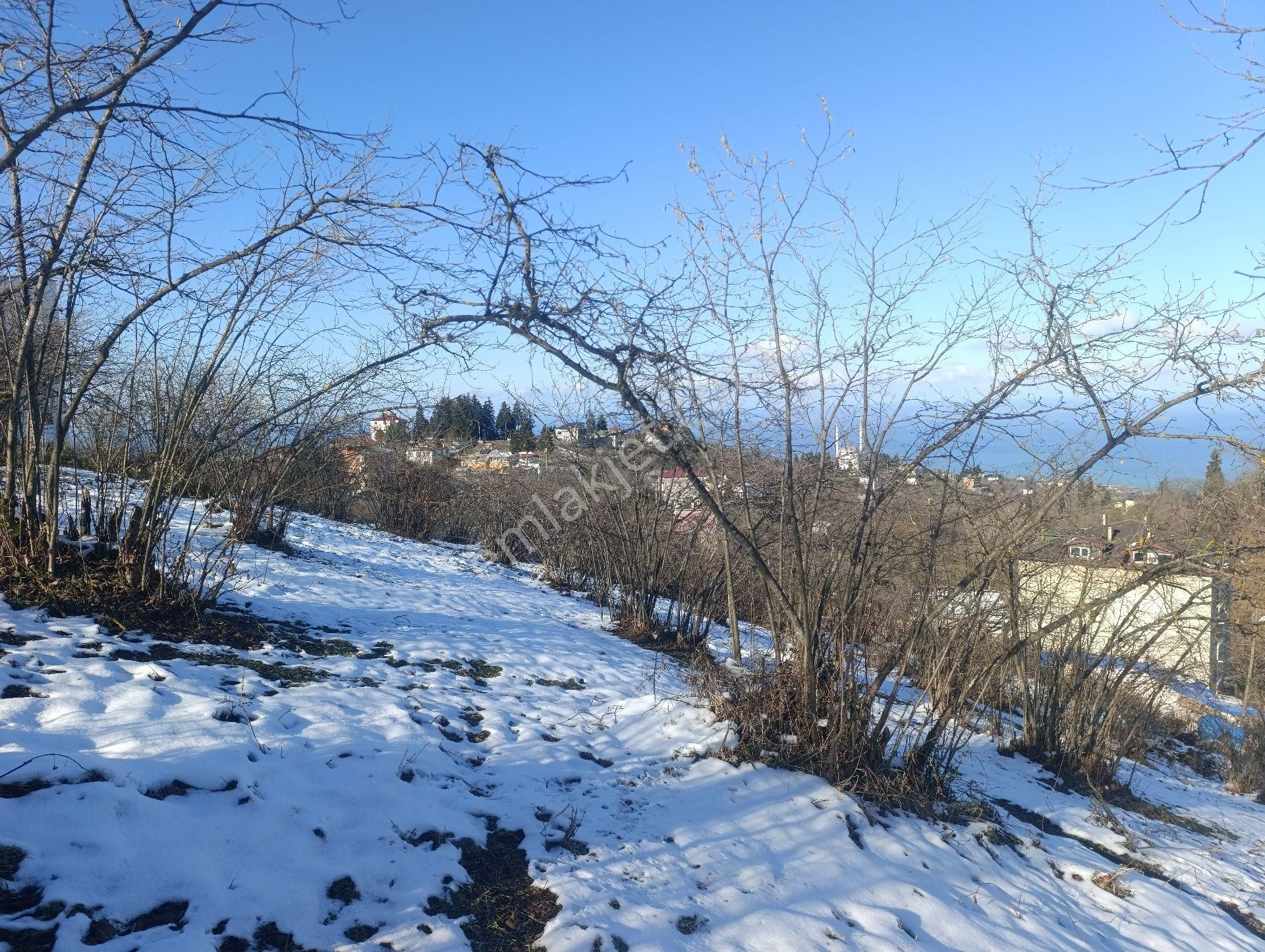Ortahisar Çilekli Mahallesinde 3.200 M² Deniz Manzaralı Arazi - Görsel 2