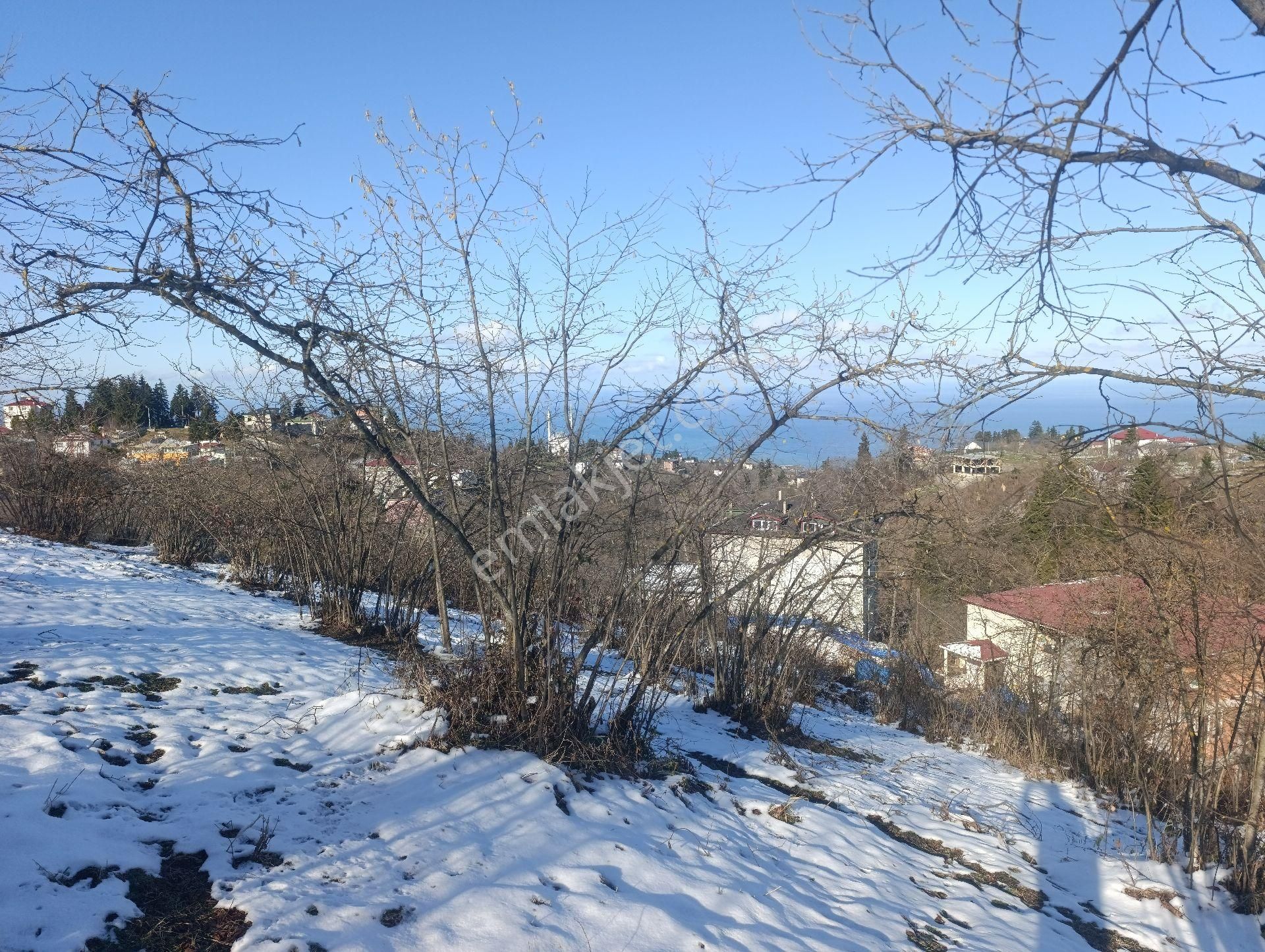 Ortahisar Çilekli Mahallesinde 3.200 M² Deniz Manzaralı Arazi
