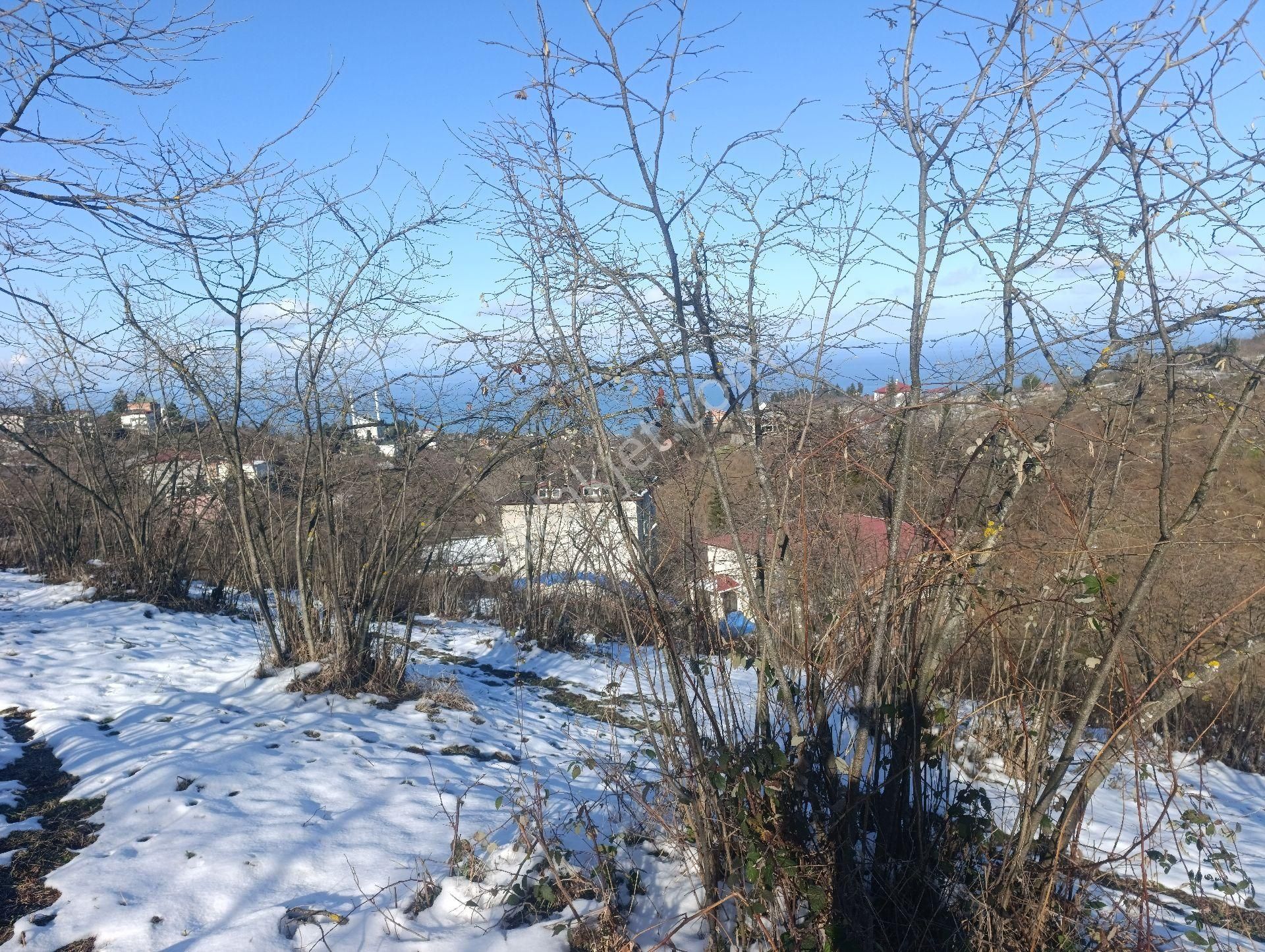 Ortahisar Çilekli Mahallesinde 3.200 M² Deniz Manzaralı Arazi - Görsel 5