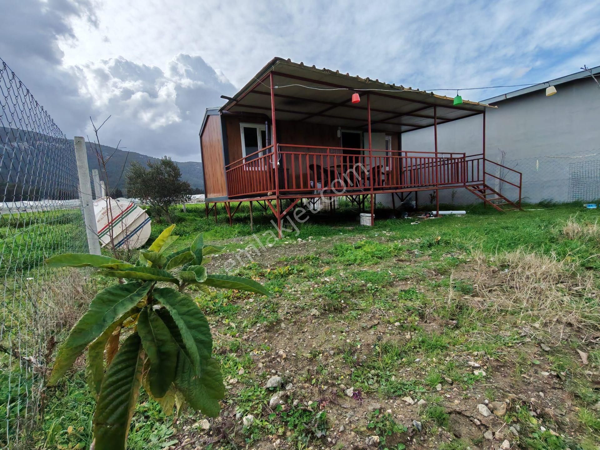 Değirmendere - Elektrik-su Aktif - İçinde Evi Olan Satılık 240 M2 Bahçe - Görsel 8