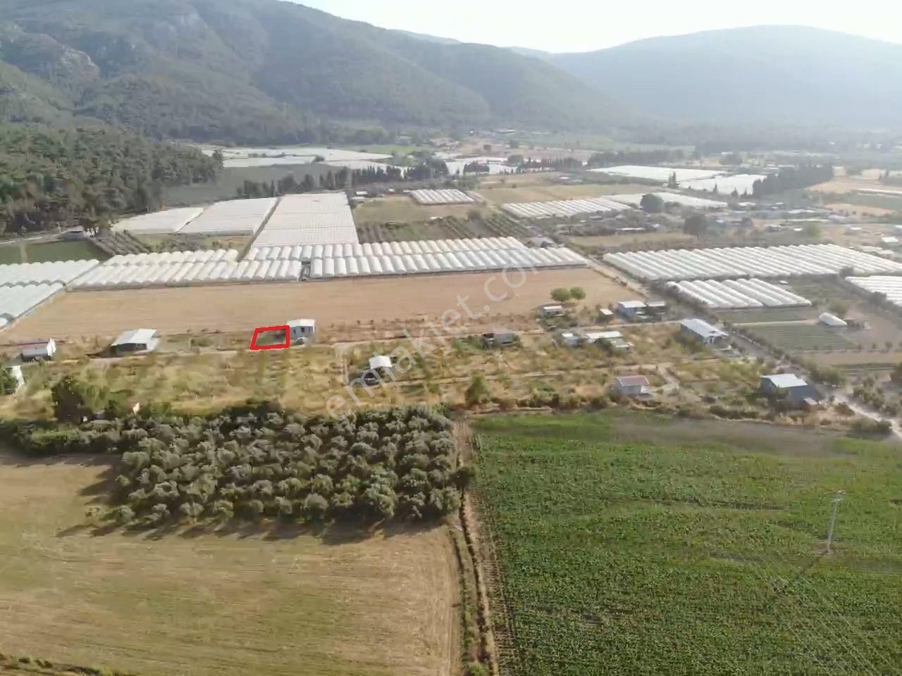 Değirmendere - Elektrik-su Aktif - İçinde Evi Olan Satılık 240 M2 Bahçe - Görsel 11