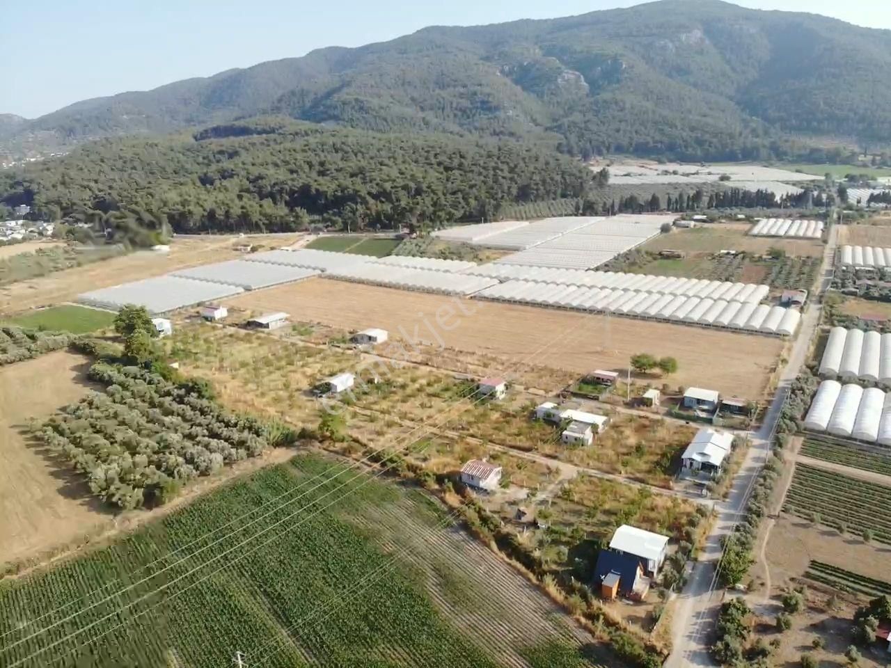 Değirmendere - Elektrik-su Aktif - İçinde Evi Olan Satılık 240 M2 Bahçe - Görsel 5