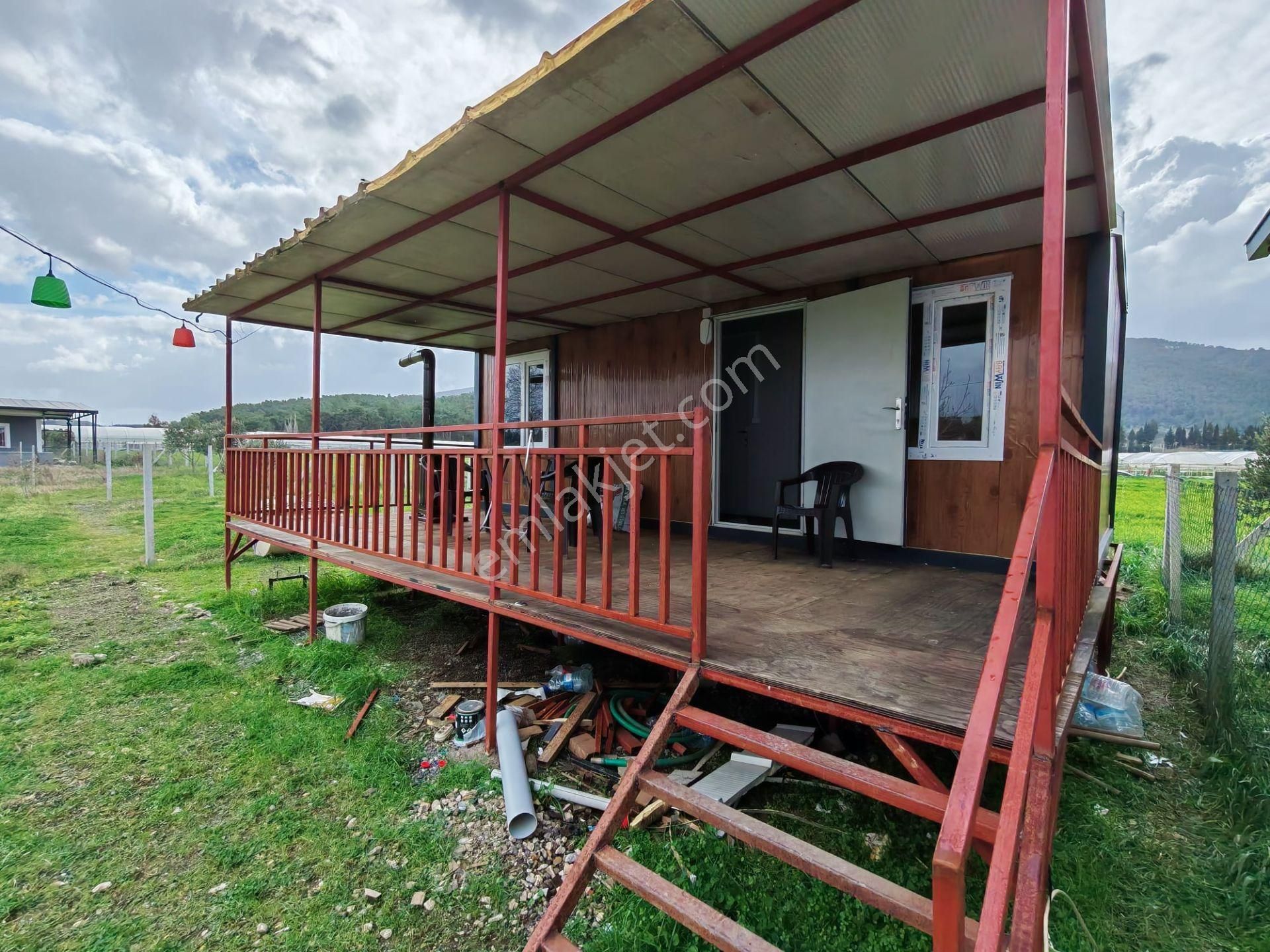 Değirmendere - Elektrik-su Aktif - İçinde Evi Olan Satılık 240 M2 Bahçe - Görsel 17