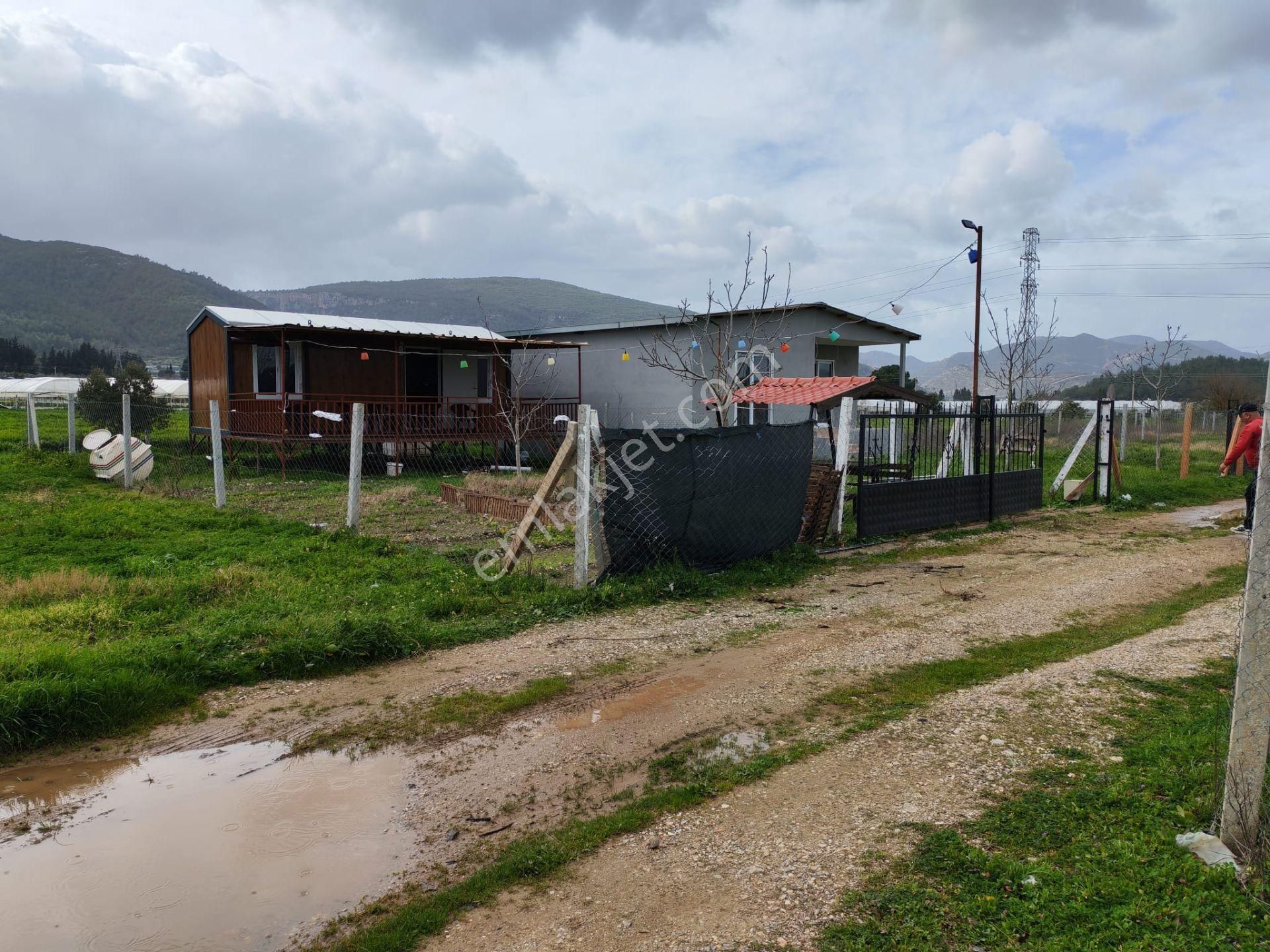 Değirmendere - Elektrik-su Aktif - İçinde Evi Olan Satılık 240 M2 Bahçe - Görsel 29