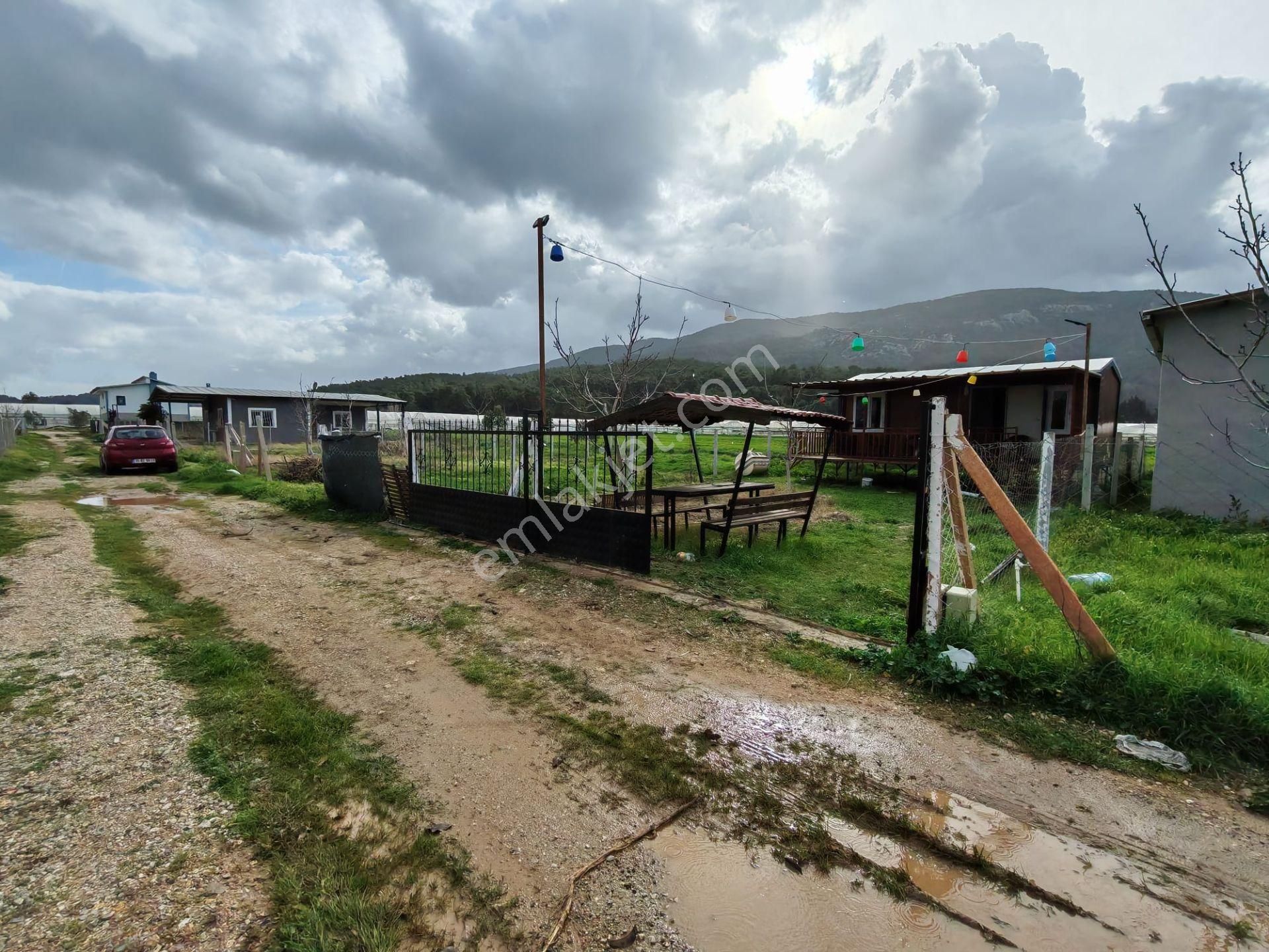 Değirmendere - Elektrik-su Aktif - İçinde Evi Olan Satılık 240 M2 Bahçe - Görsel 25