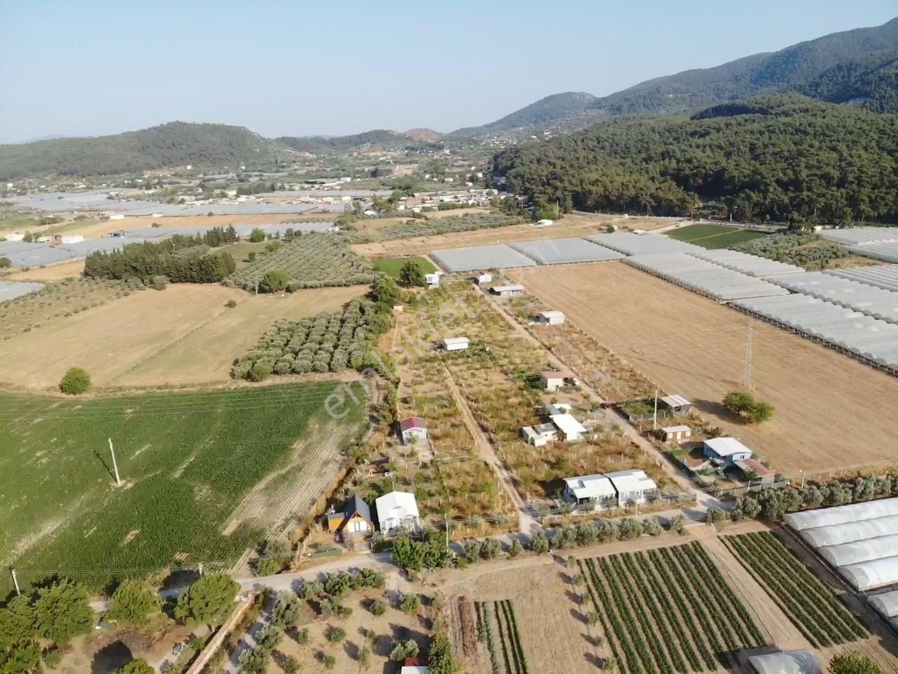 Değirmendere - Elektrik-su Aktif - İçinde Evi Olan Satılık 240 M2 Bahçe - Görsel 7