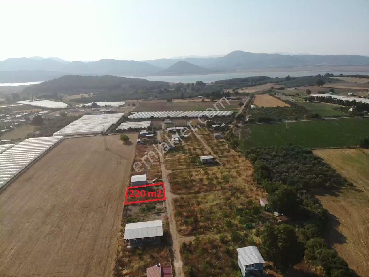 Değirmendere - Elektrik-su Aktif - İçinde Evi Olan Satılık 240 M2 Bahçe - Görsel 2