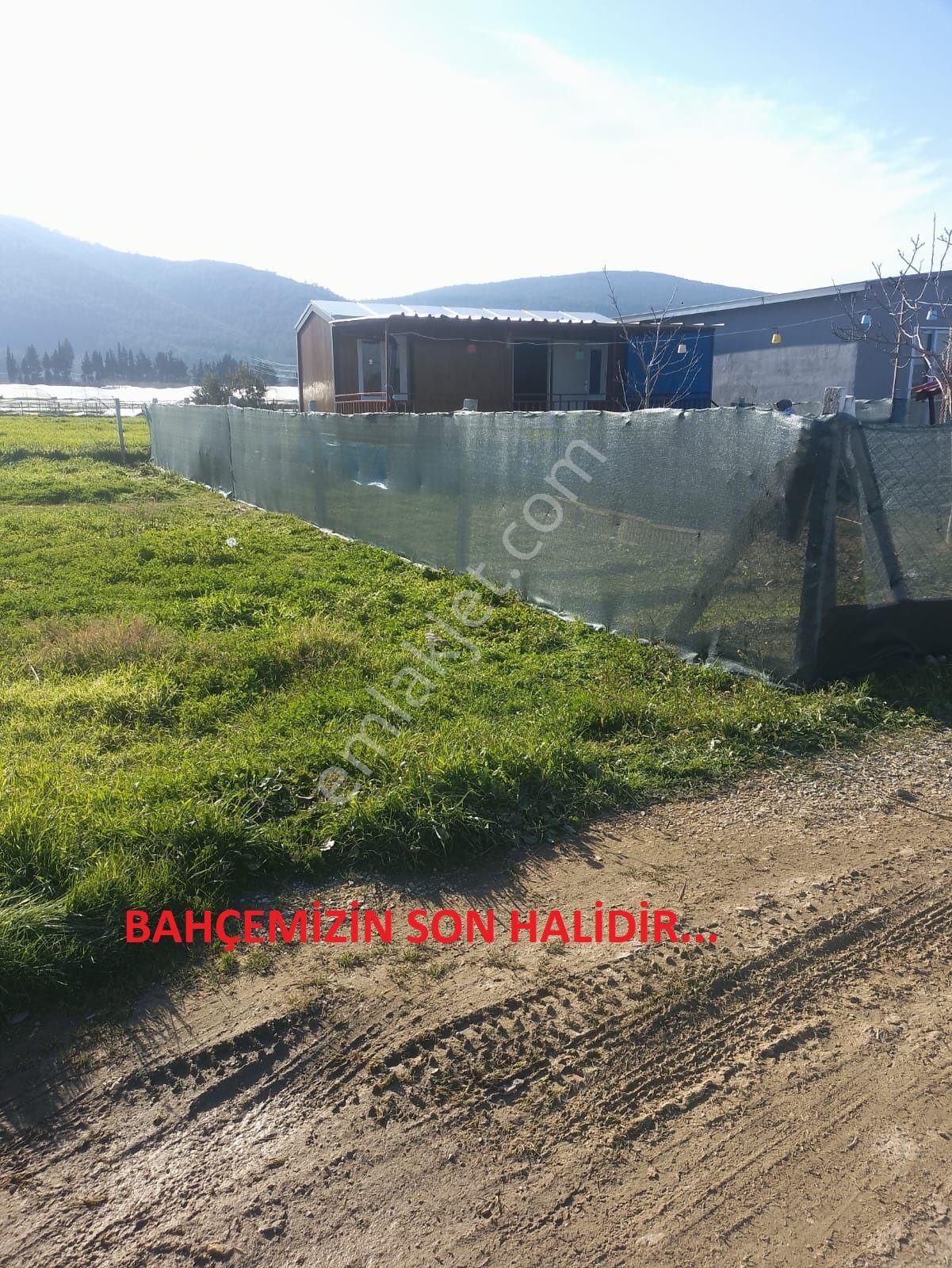 Değirmendere - Elektrik-su Aktif - İçinde Evi Olan Satılık 240 M2 Bahçe - Görsel 34