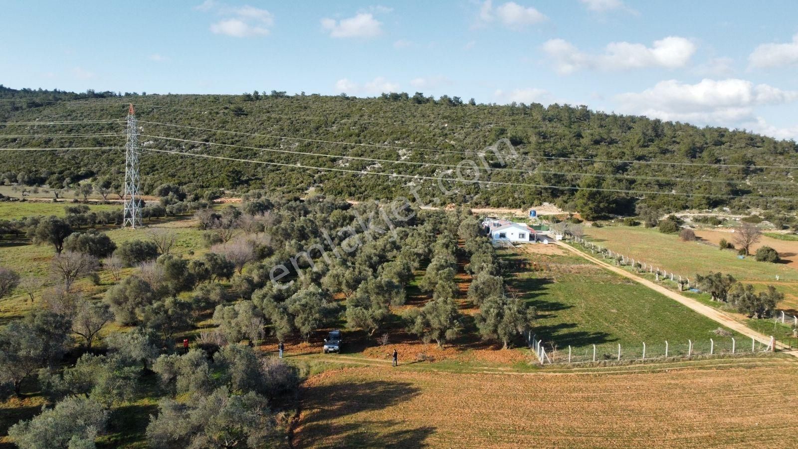 Urla Birgide Yatırıma Uygun, Değer Kazanan Satılık Tarla - Görsel 8
