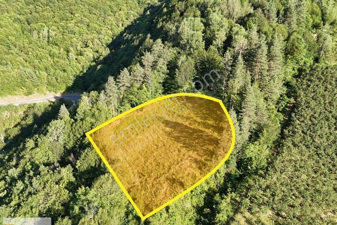 Haluk Zor Gayrimenkul,den Havadar Mevkide 1784 M² Resmi Yola Cephe Arazi - Görsel 5