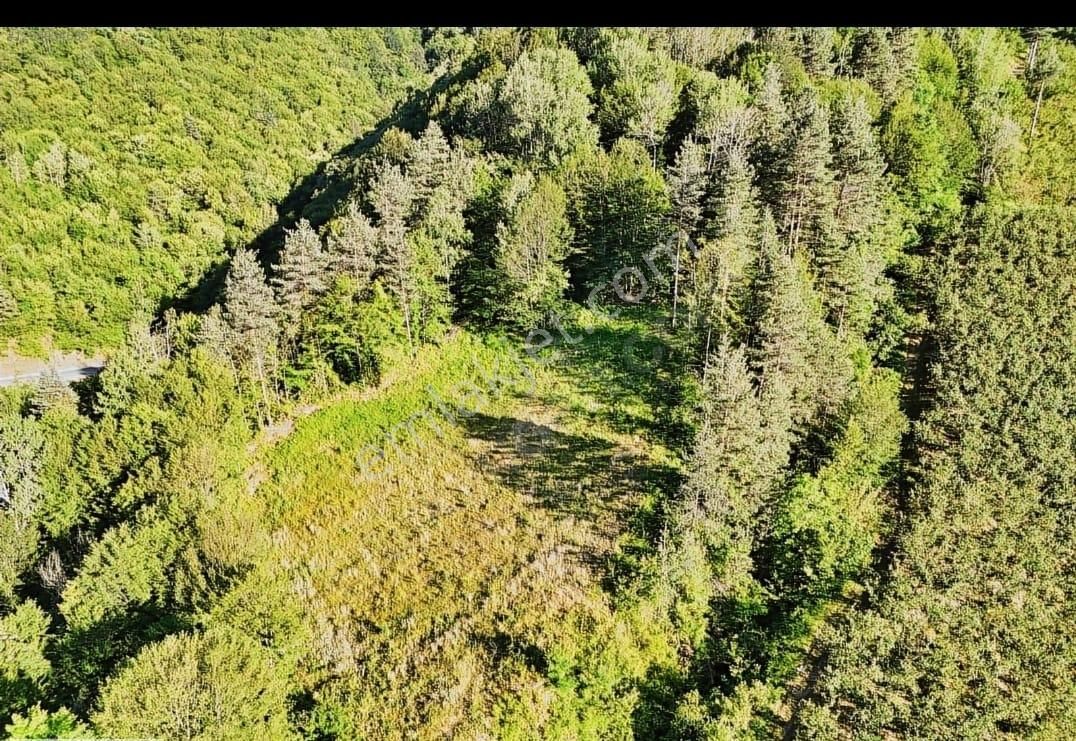 Haluk Zor Gayrimenkul,den Havadar Mevkide 1784 M² Resmi Yola Cephe Arazi - Görsel 8