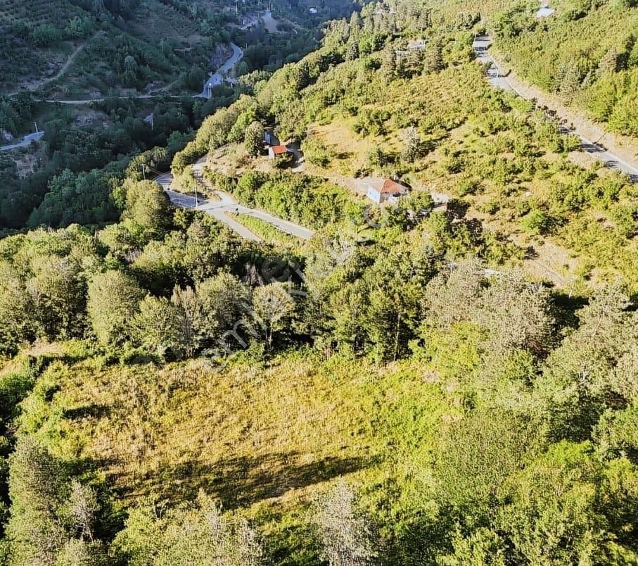 Haluk Zor Gayrimenkul,den Havadar Mevkide 1784 M² Resmi Yola Cephe Arazi - Görsel 4