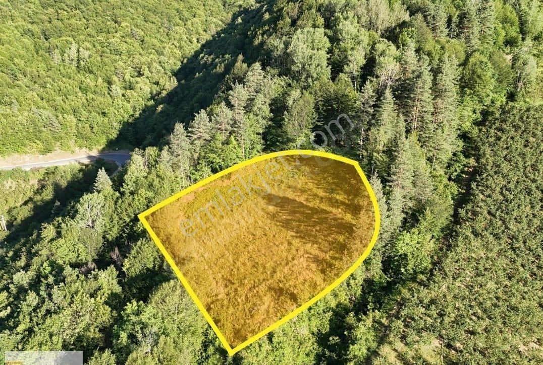 Haluk Zor Gayrimenkul,den Havadar Mevkide 1784 M² Resmi Yola Cephe Arazi - Görsel 3