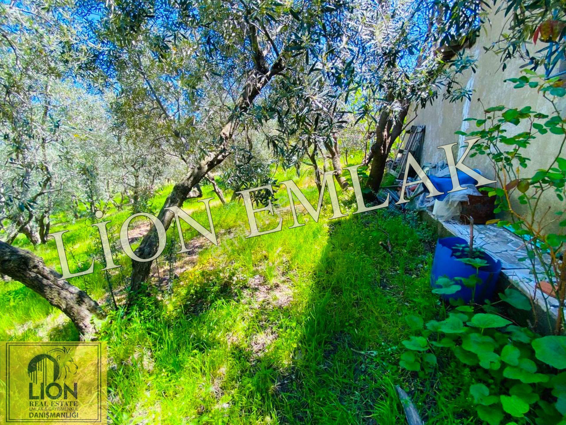 ⬛🟨lıon Emlak'tan Çalışkanlar'da Deniz Manzaralı Kat Karşılı 7.551m² Arsa🟨⬛ - Görsel 13