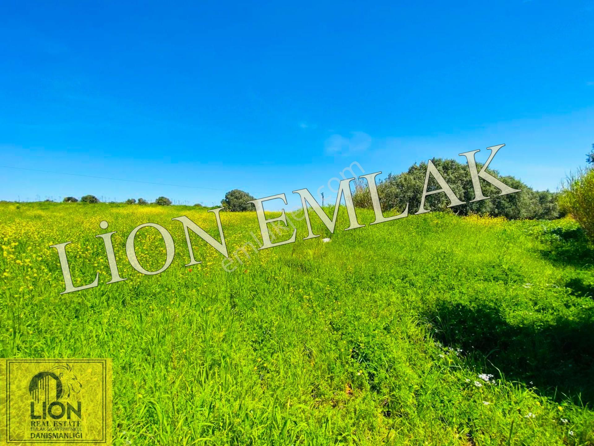 ⬛🟨lıon Emlak'tan Çalışkanlar'da Deniz Manzaralı Kat Karşılı 7.551m² Arsa🟨⬛