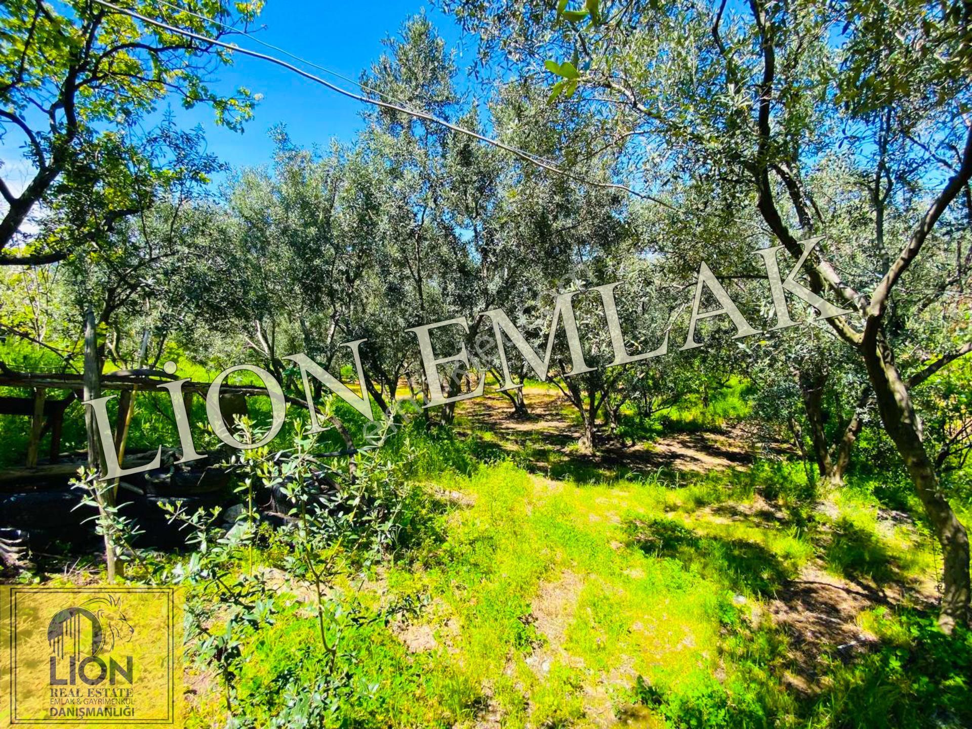 ⬛🟨lıon Emlak'tan Çalışkanlar'da Deniz Manzaralı Kat Karşılı 7.551m² Arsa🟨⬛ - Görsel 25