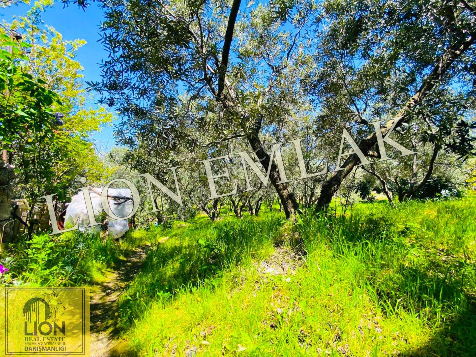 ⬛🟨lıon Emlak'tan Çalışkanlar'da Deniz Manzaralı Kat Karşılı 7.551m² Arsa🟨⬛ - Görsel 21