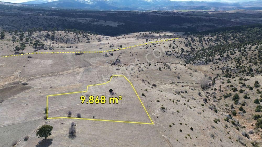 9.868 M² / Konya / Ilgın / Belekler / Tarla - Görsel 4