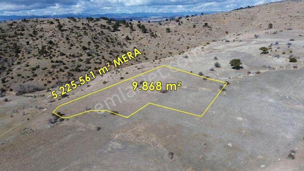 9.868 M² / Konya / Ilgın / Belekler / Tarla - Görsel 3