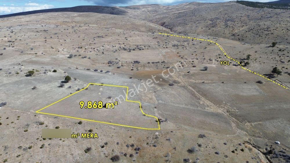 9.868 M² / Konya / Ilgın / Belekler / Tarla - Görsel 5