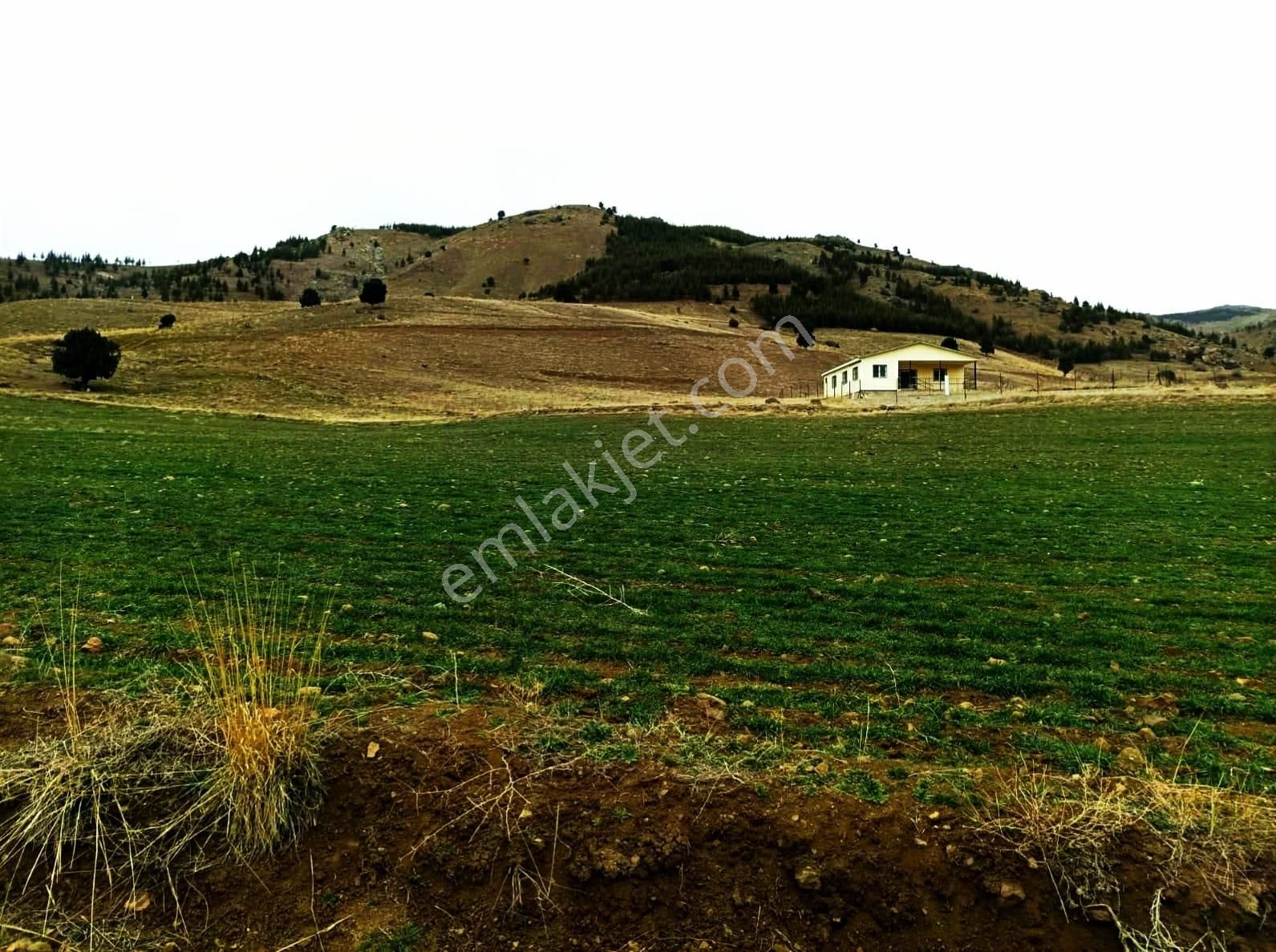 Kar Emlaktan Kamışlı Yaylasında 500 M2 İmarlı İfrazlı Satılık Arsa - Görsel 24