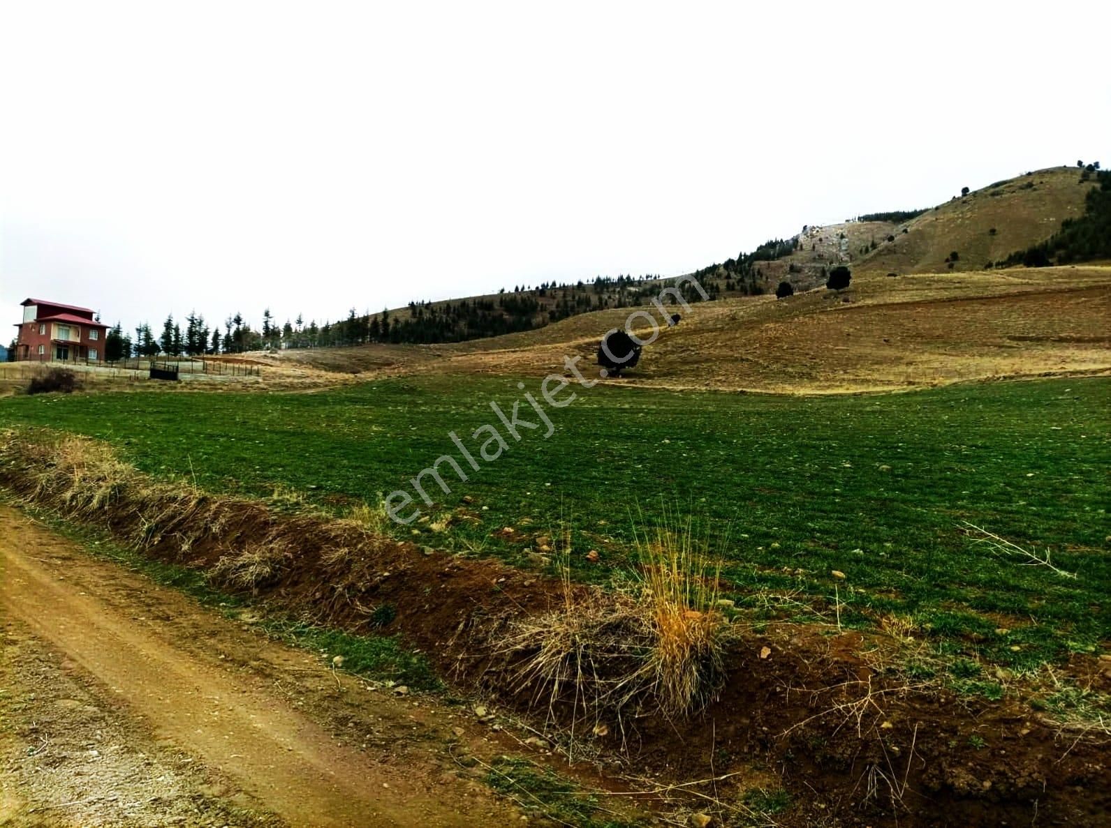 Kar Emlaktan Kamışlı Yaylasında 500 M2 İmarlı İfrazlı Satılık Arsa - Görsel 9