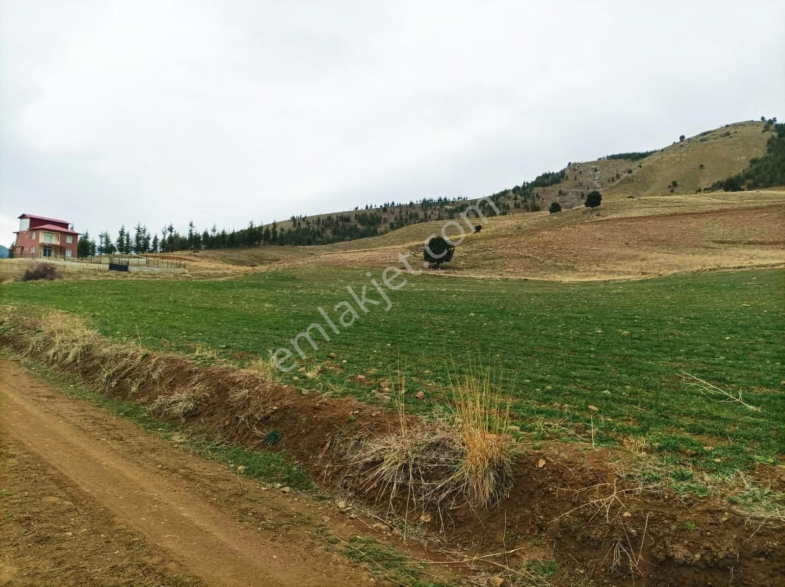 Kar Emlaktan Kamışlı Yaylasında 500 M2 İmarlı İfrazlı Satılık Arsa - Görsel 11