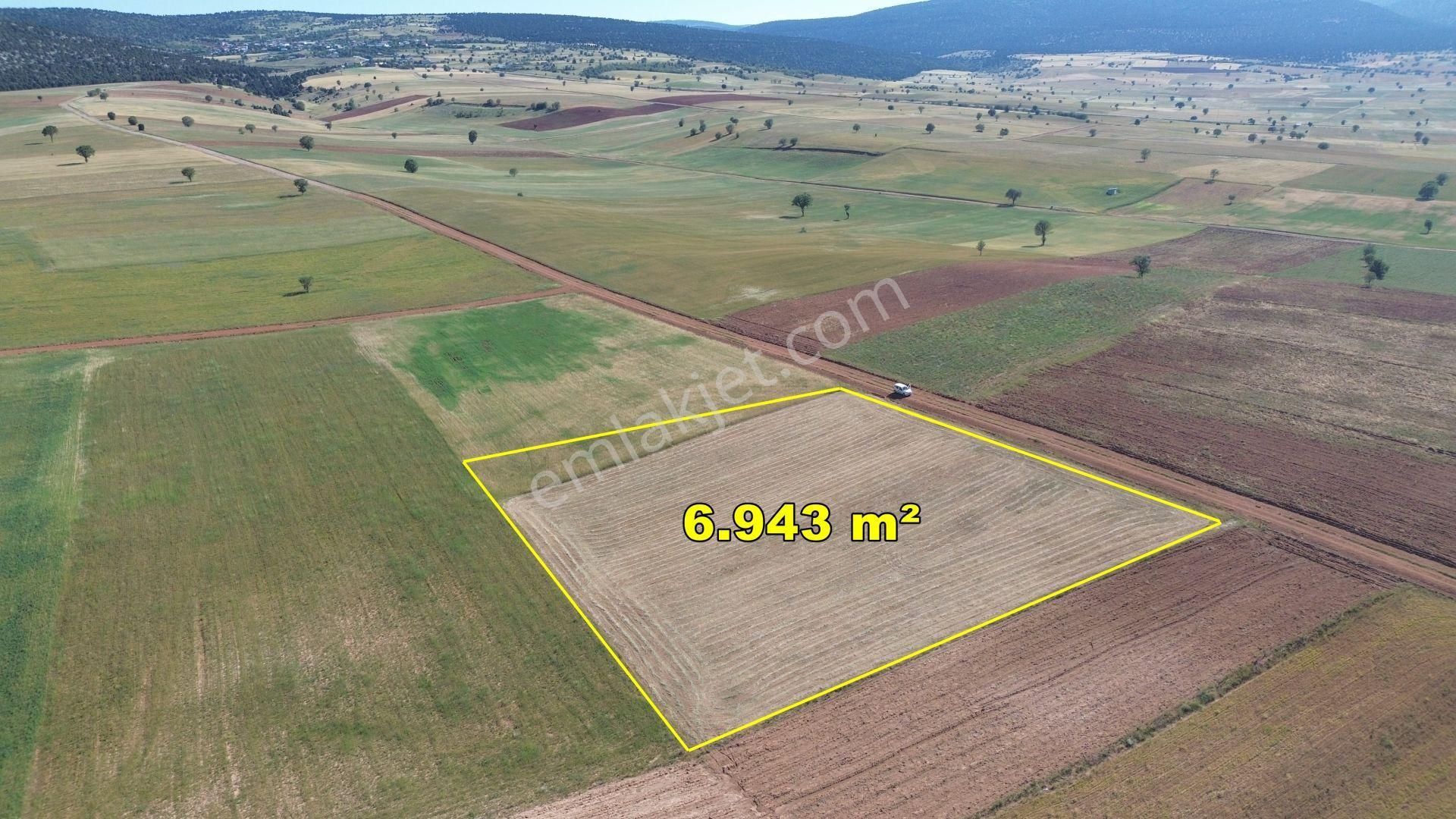 6.943 M² / Konya / Akören / Alan / Tarla - Görsel 2