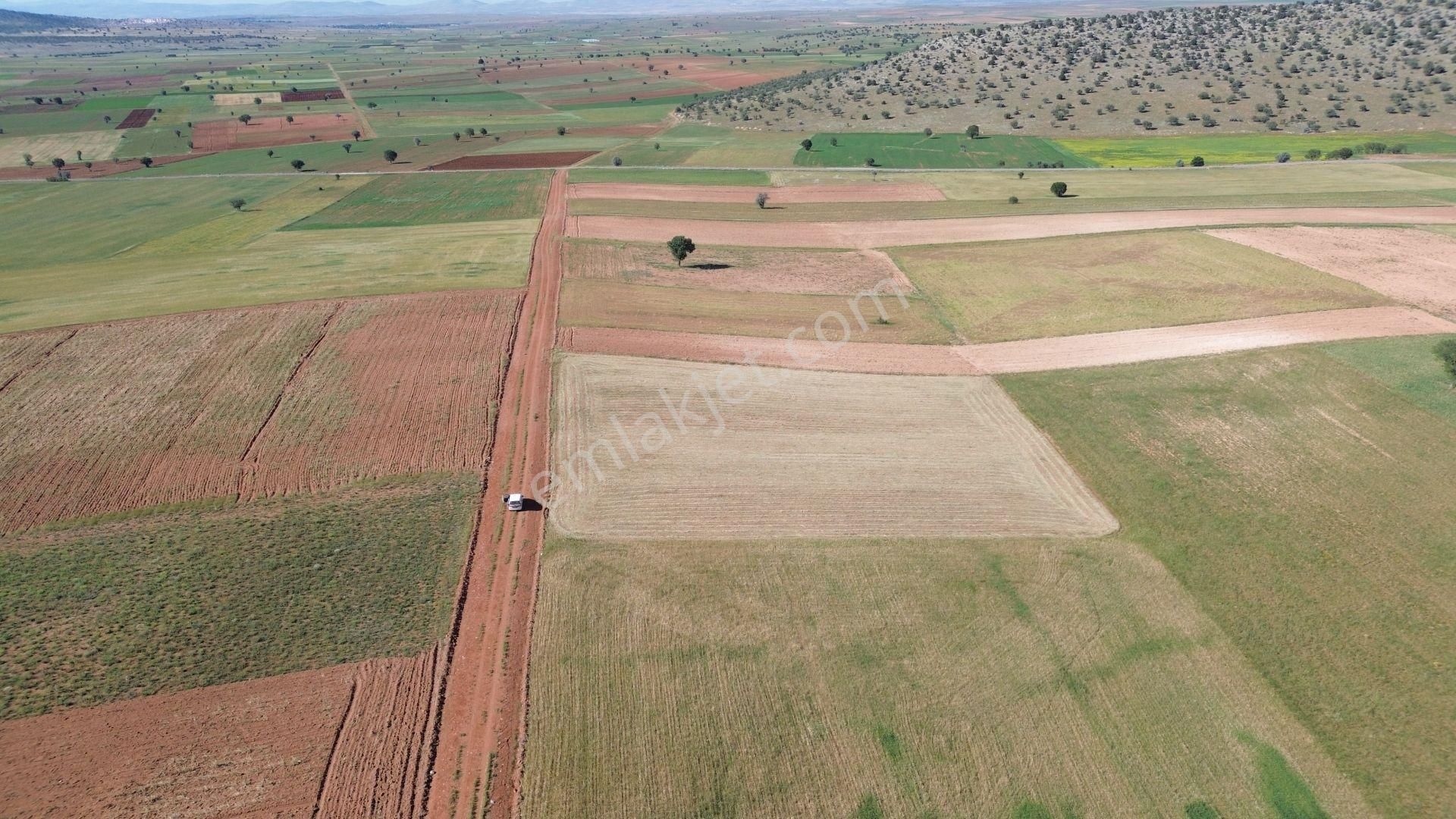 6.943 M² / Konya / Akören / Alan / Tarla - Görsel 5