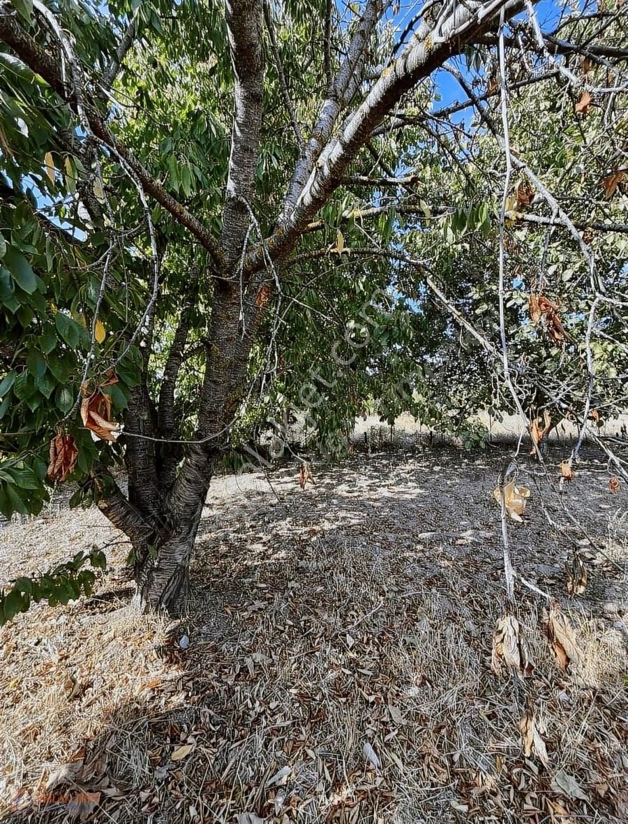 Muğla Menteşe Yeşilyurt Mah. Satılık 642 M2 Tarla - Görsel 2