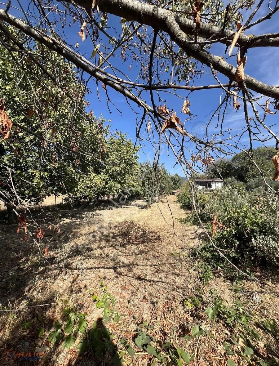 Muğla Menteşe Yeşilyurt Mah. Satılık 642 M2 Tarla - Görsel 5
