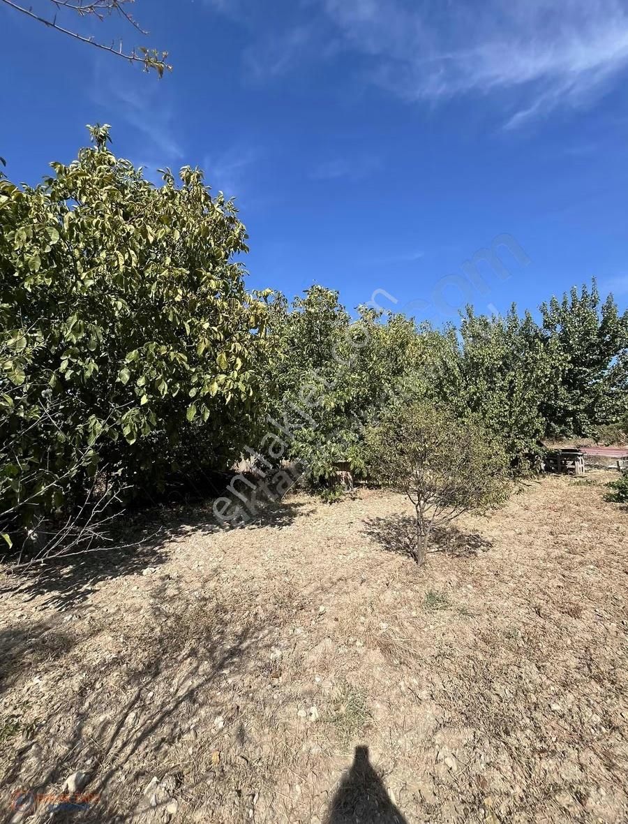 Muğla Menteşe Yeşilyurt Mah. Satılık 642 M2 Tarla