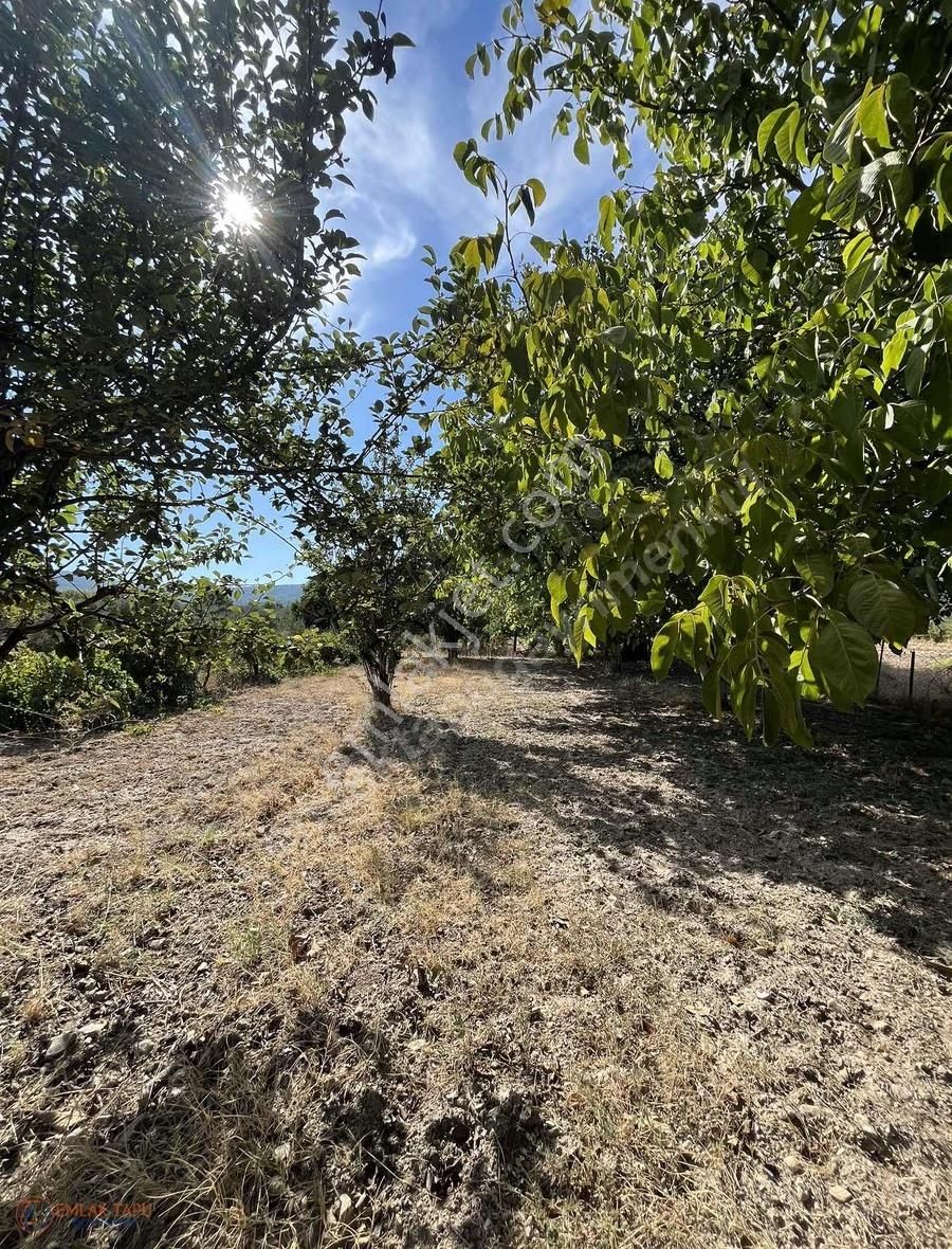 Muğla Menteşe Yeşilyurt Mah. Satılık 642 M2 Tarla - Görsel 7