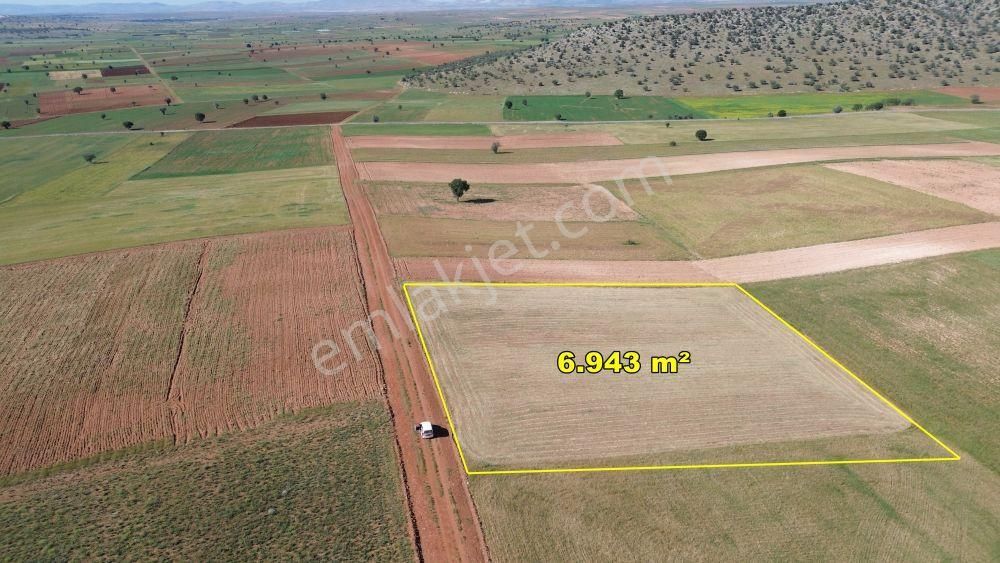 13.292 M² / Konya / Ilgın / Belekler / Tarla - Görsel 4