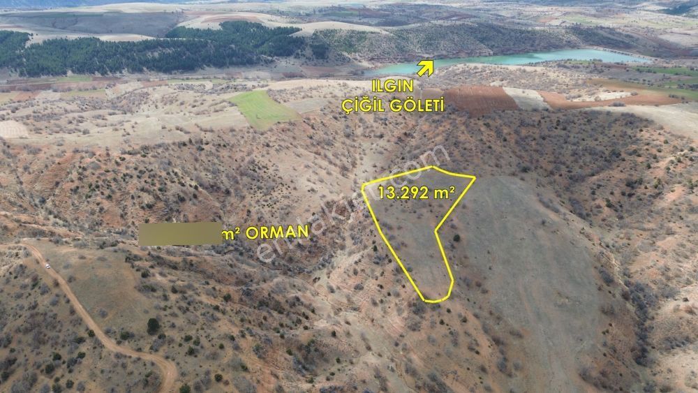 13.292 M² / Konya / Ilgın / Belekler / Tarla - Görsel 3