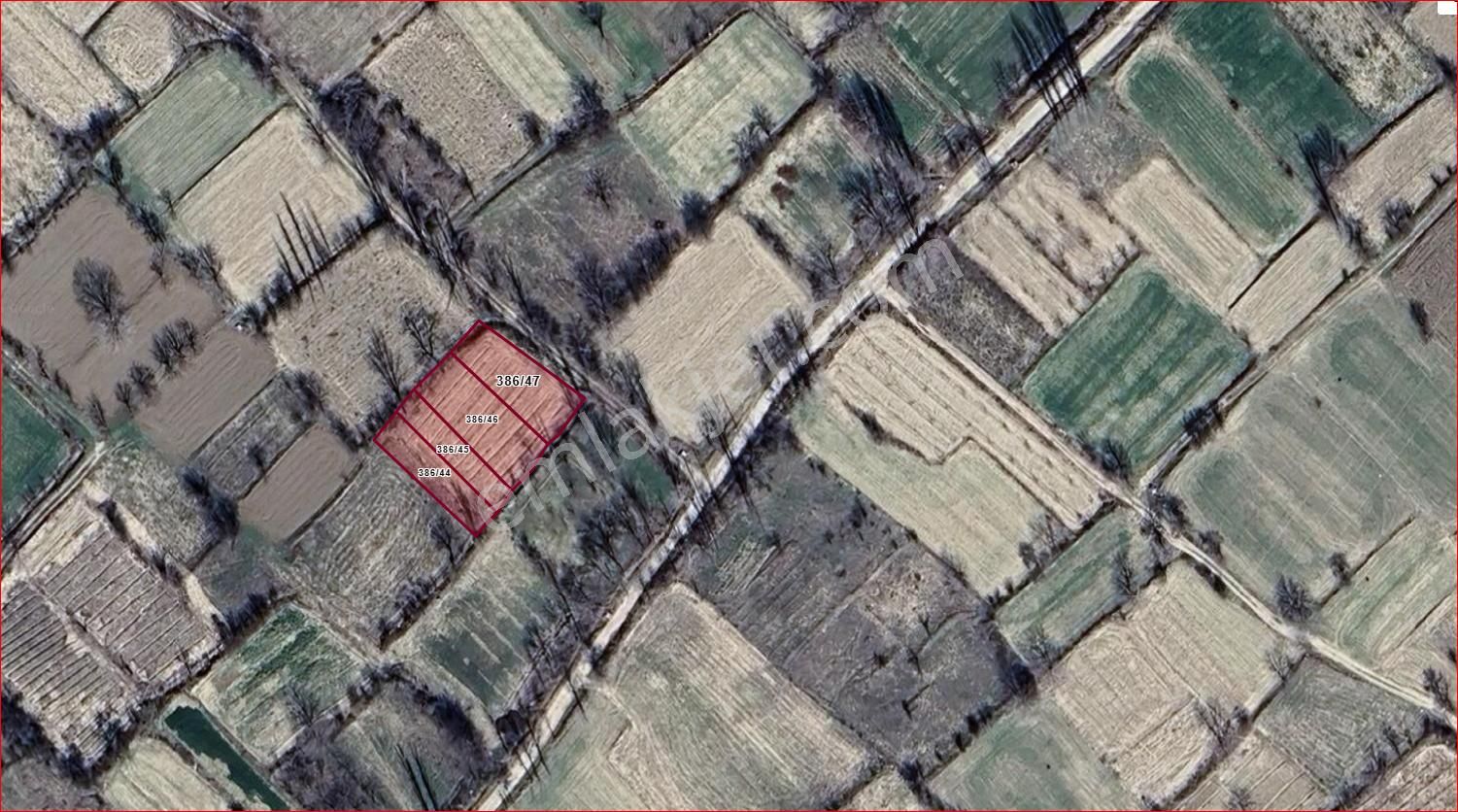 Burdur Merkez Askeriye Köyünde 4 Adet Satılık Fırsat Tarla