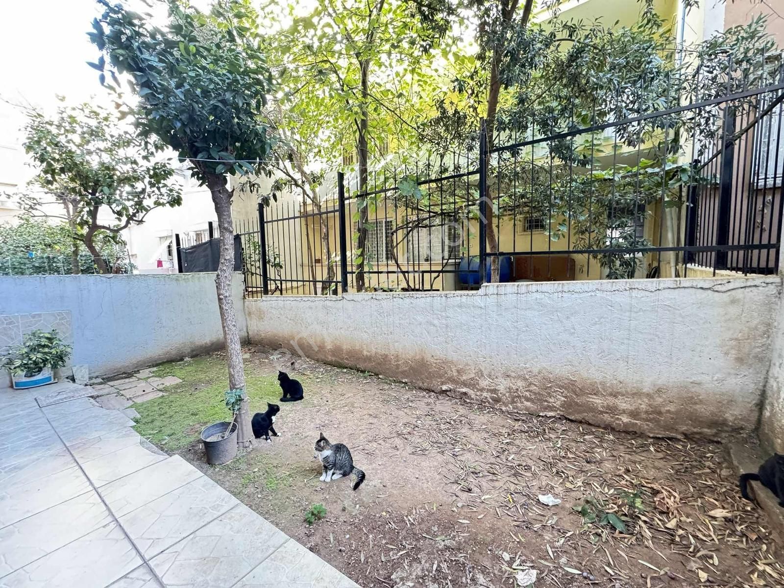 Fb Gayrimenkul'den Masrafsız 2+1 Satılık Daire - Görsel 11