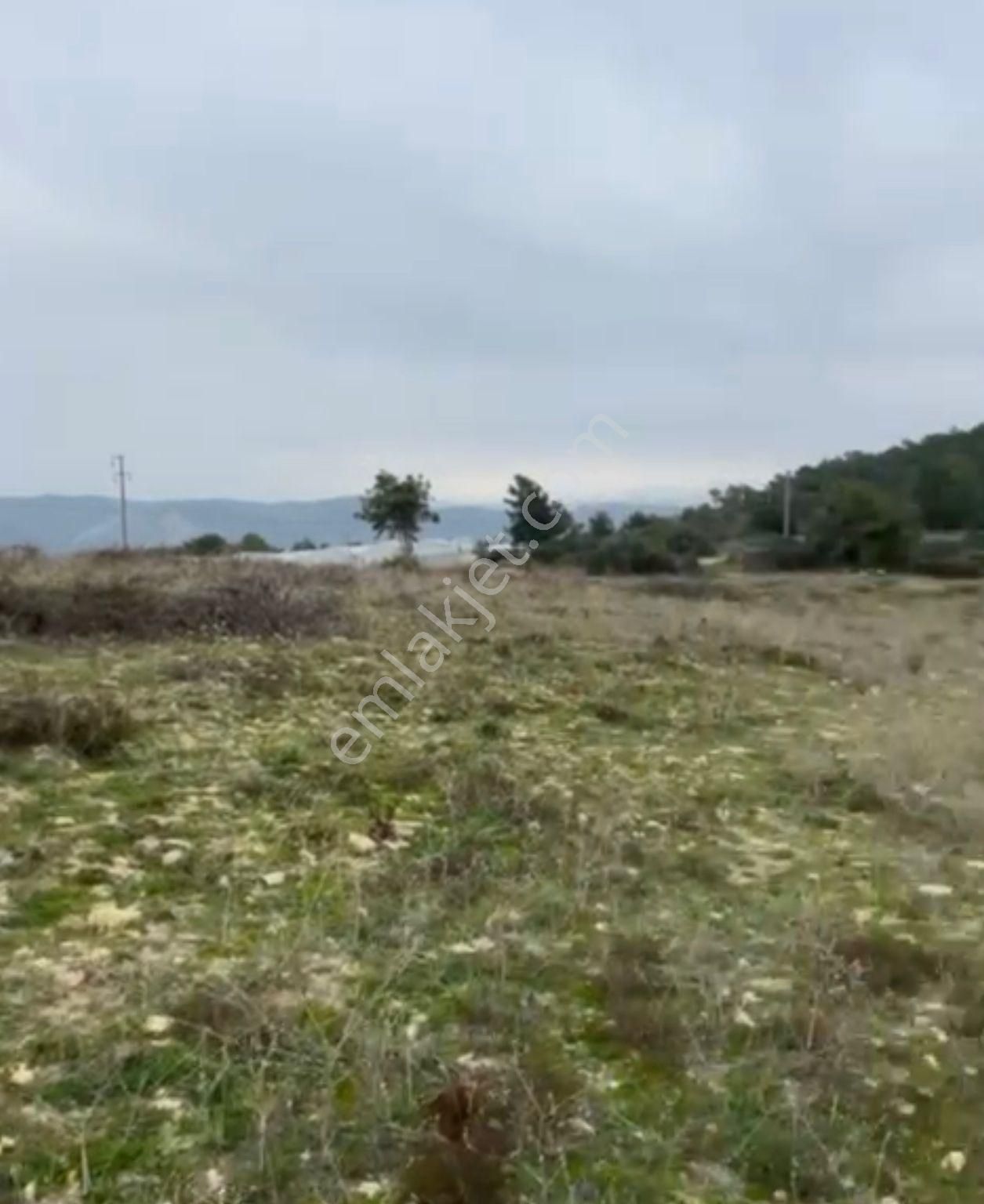 Alanya Okurcalar 700 Dairelik 65 Dönüm Kısa Vadeli Yatırımlık - Görsel 14