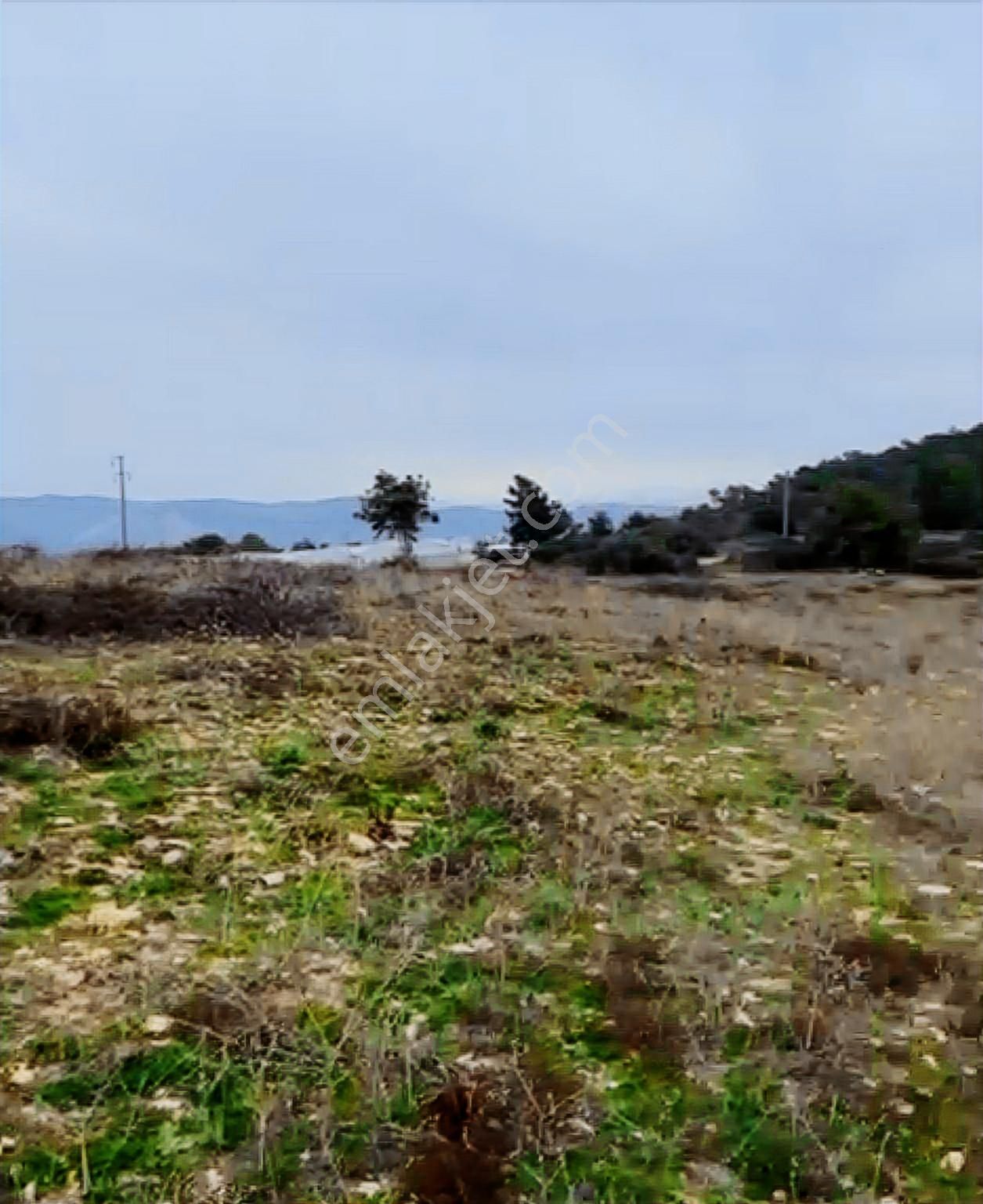 Alanya Okurcalar 700 Dairelik 65 Dönüm Kısa Vadeli Yatırımlık - Görsel 33