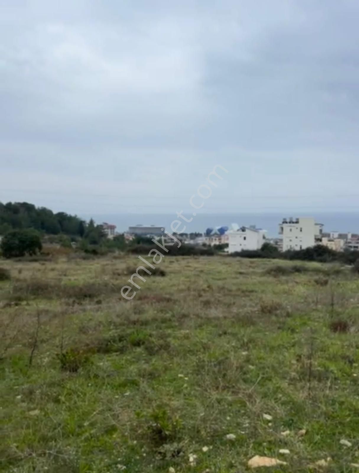 Alanya Okurcalar 700 Dairelik 65 Dönüm Kısa Vadeli Yatırımlık - Görsel 20