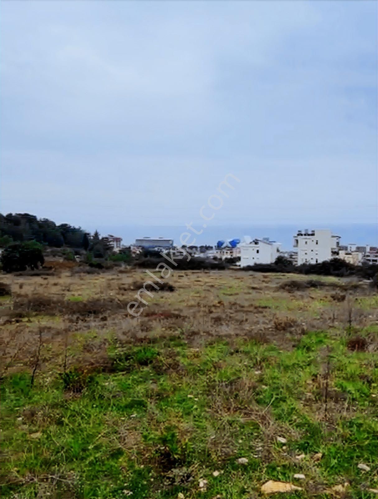 Alanya Okurcalar 700 Dairelik 65 Dönüm Kısa Vadeli Yatırımlık - Görsel 5